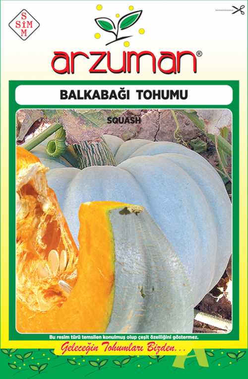 BAL KABAĞI TOHUMU 10 GR ORT 25 AD TOHUM