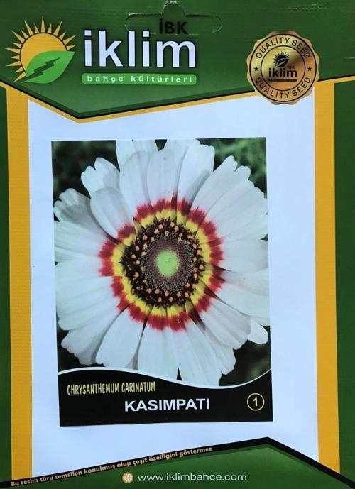 KASIMPATI ÇİÇEĞİ TOHUMU-1 BEYAZ TAKRİBİ 20 ADET TOHUM
