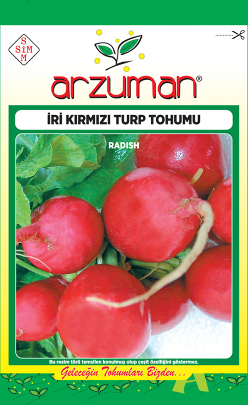 KIRMIZI TURP TOHUMU 10 GR TAKRİBİ 900 ADET TOHUM
