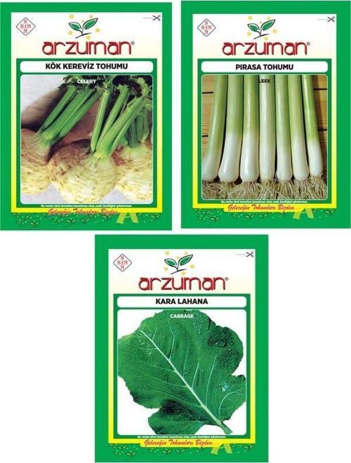KÖK KEREVİZ - İNEGÖL PIRASA - KARA LAHANA 3'LÜ TOHUM SETİ