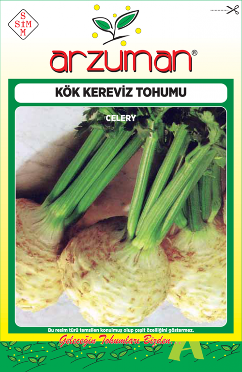 KÖK KEREVİZ TOHUMU 10 GR ORT 2000 AD TOHUM