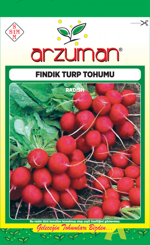 FINDIK TURP TOHUMU 25 GR 0RT 2250 AD TOHUM