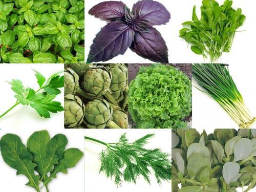 YERLİ 10 ÇEŞİT YEŞİLLİK TOHUM SETİ-3 ORT 3150 AD+GÜBRE