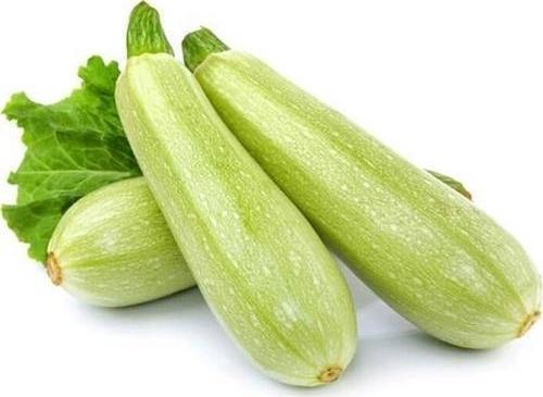 Yerli Ata Tohumu Beyaz Sakız Kabak 5 Adet