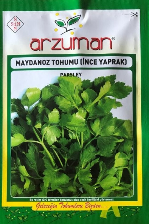 İNCE MAYDANOZ TOHUMU 25 GR ORT 10000 ADET TOHUM