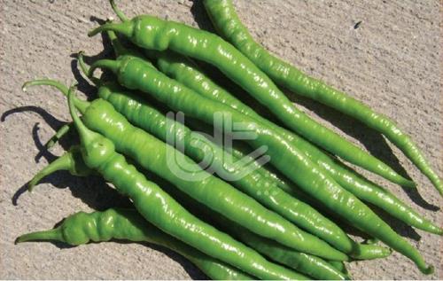 Yerli Demre Biber Tohumu 10 Gr Takribi 1200 Ad Tohum