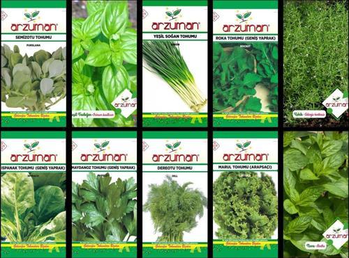 SERTİFİKALI YERLİ 10 ÇEŞİT YEŞİLLİK TOHUM SETİ-1 (SOLUCAN GÜBRESİ HEDİYE)