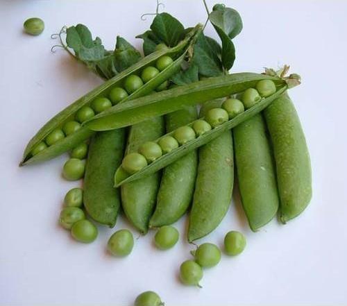 Yerli İri Tane Bezelye Tohumu 500 Gr