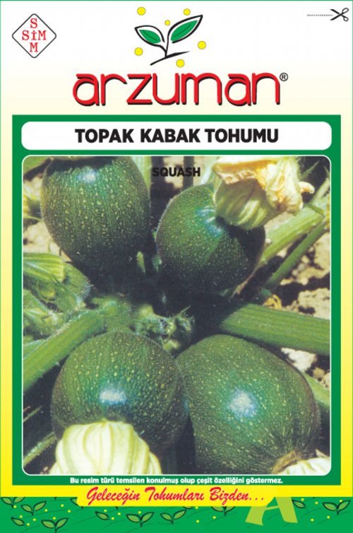 SİYAH TOPAK KABAK TOHUMU 10 GR ORT 75 AD TOHUM