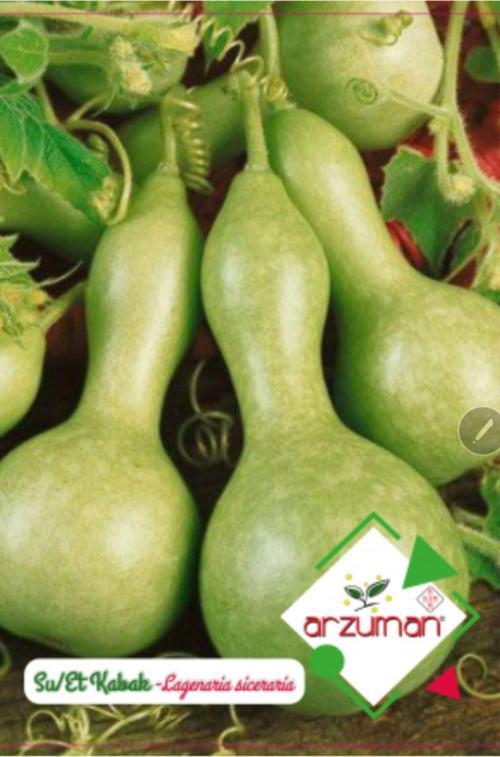 SU-ET KABAĞI TOHUMU 5 AD TOHUM