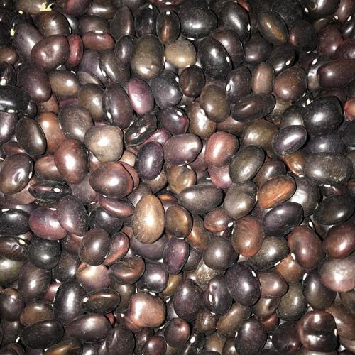 YERLİ UZUN ENLİ TURŞULUK SIRIK FASULYE TOHUMU 100 GR (MOR)