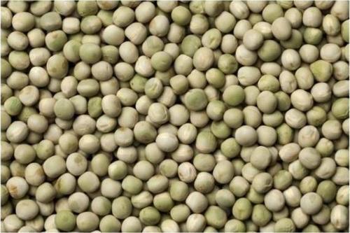 Yerli Yem Bezelyesi Tohumu (Külür) 100 gr