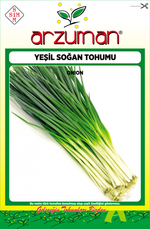 YEŞİL TAZE SOĞAN TOHUMU 10 GR ORT 2500 AD TOHUM