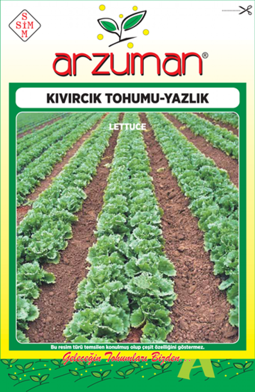 YAZLIK KIVIRCIK MARUL TOHUMU 10 GR ORT 7500 AD TOHUM