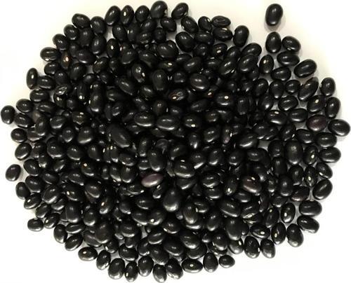 YERLİ SIRIK FASULYE TOHUMU ( SİYAH) 500 GR