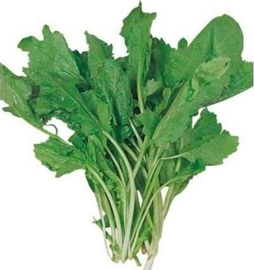 Yerli Tere Tohumu - 10 Gr (Ort 3000 Ad Tohum)