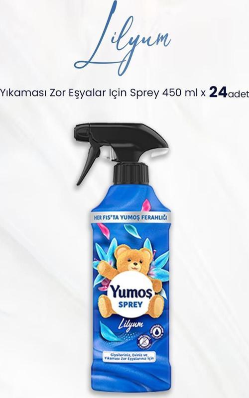 Sprey Yıkaması Zor Eşyalar Için Lilyum 450 ml x 24 Adet