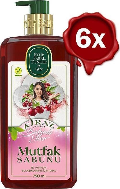 Kiraz Mutfak Sabunu 750 ml x 6