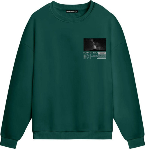 Unisex Ignated - Regular Sweatshirt Yeşil XL
