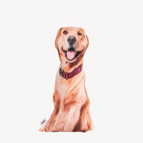 3 Boyutlu Köpek Yastığı No 13 40x25 Cm