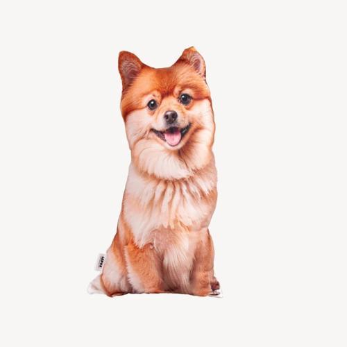 3 Boyutlu Köpek Yastığı No 12 40x25 Cm