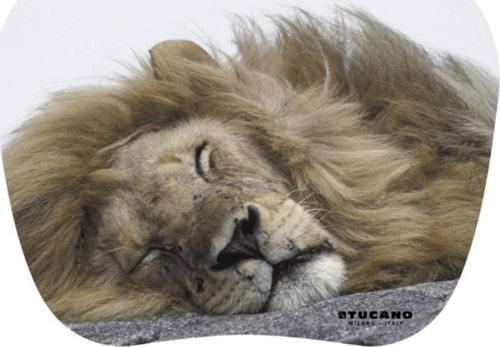 Altı Kaymaz 23 x 20 cm Natura Serisi Uyuyan Aslan Resimli Mouse Pad