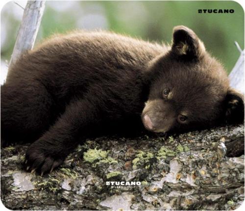 Altı Kaymaz 23 x 20 cm Natura Serisi Yavru Ayı Resimli Mouse Pad