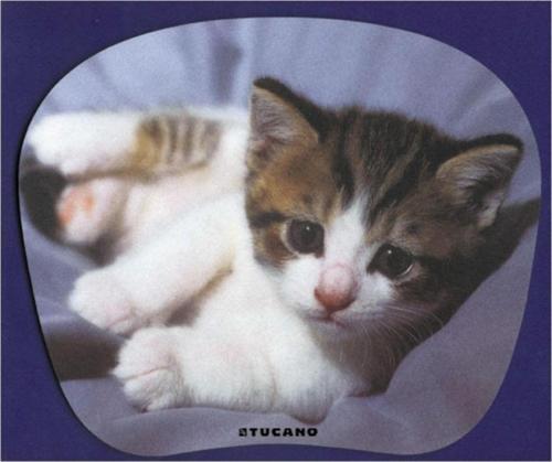 Altı Kaymaz 23 x 20 cm Natura Serisi Yavru Kedi Resimli Mouse Pad