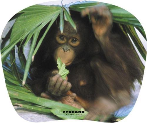 Altı Kaymaz 23 x 20 cm Natura Serisi Yavru Maymun Resimli Mouse Pad