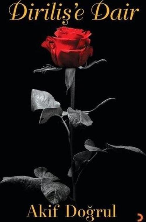 Cinius Yayınevi Diriliş'e Dair