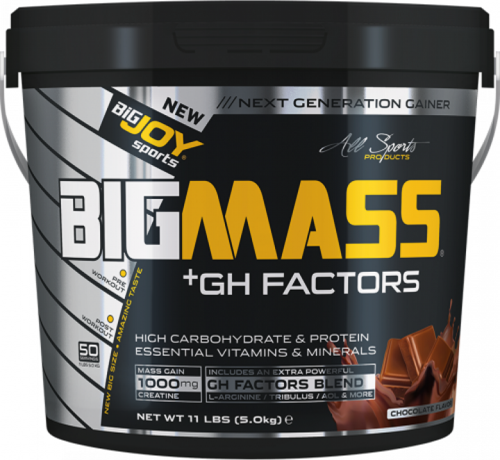 Bigjoy BigMass +Gh Factors Aromalı 5000 gram - Çikolata