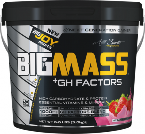 Bigjoy BigMass +Gh Factors Aromalı 5000 gram - Çilek