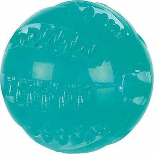Köpek Termoplastik Diş Bakım Oyuncağı 6cm - Petshopundan
