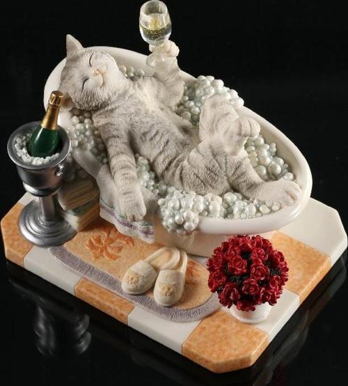 WISE BANYO SEFASI YAPAN KEDİ