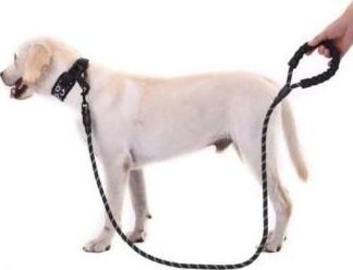 Reflektörlü Köpek Tasması 130 Cm.