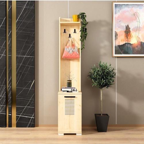 DemonteHome Asi̇modh (E) Portmanto Ve Ayakkabili Safi̇rmeşe