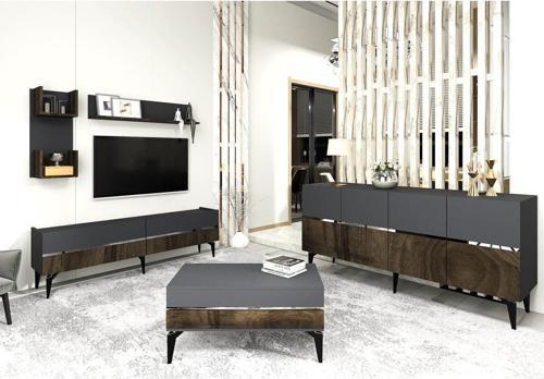 DemonteHome Tedydh Tv Üni̇tesi̇,Konsol Ve Orta Sehpa 3'Lü Salon Takimi Antrasi̇t-Cevi̇z-Gümüş