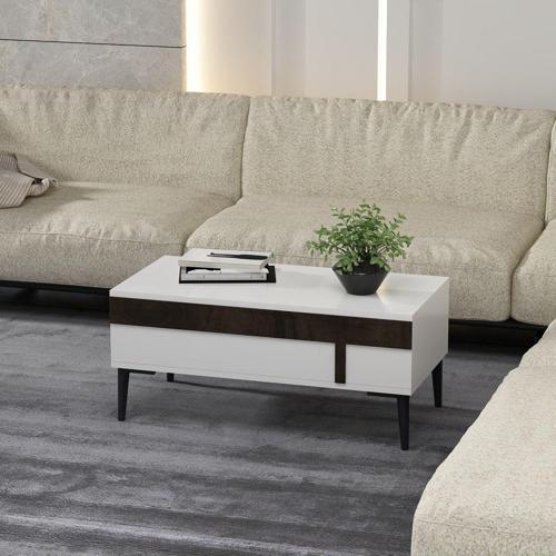 DemonteHome Asudedh Orta Sehpa Beyaz Cevi̇z