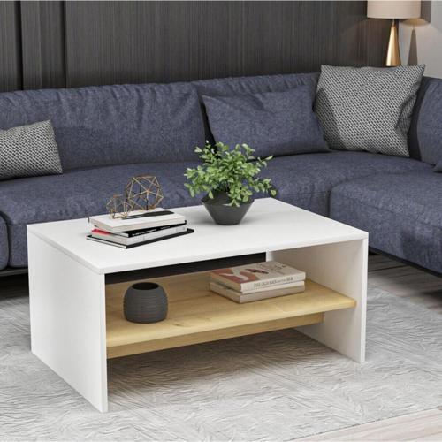 DemonteHome Apollondh Orta Sehpa Beyaz Safi̇rmeşe