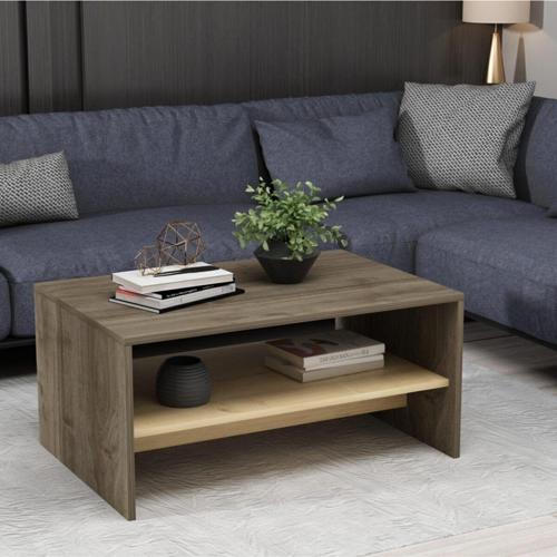 DemonteHome Apollondh Orta Sehpa Cevi̇z Safi̇rmeşe