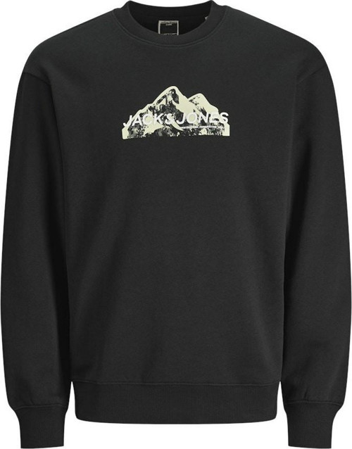 Mountaın Logo Bisiklet Yaka Erkek Sweat 12262094