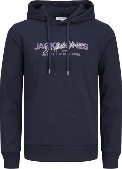 Alvıs Kapüşonlu Erkek Sweat 12256848
