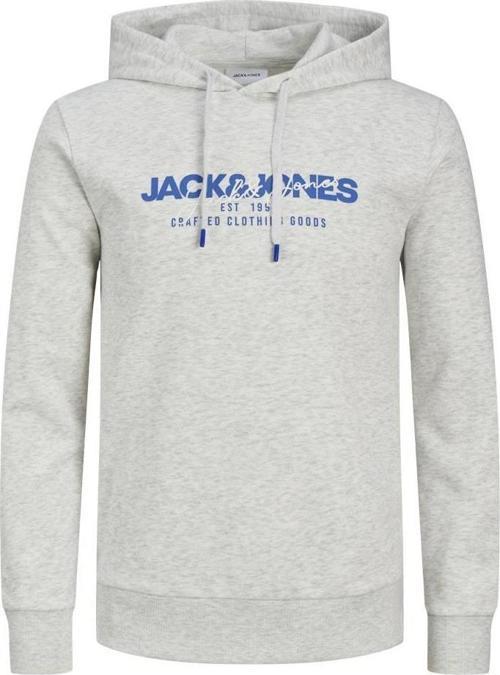 Alvıs Kapüşonlu Erkek Sweat 12256848