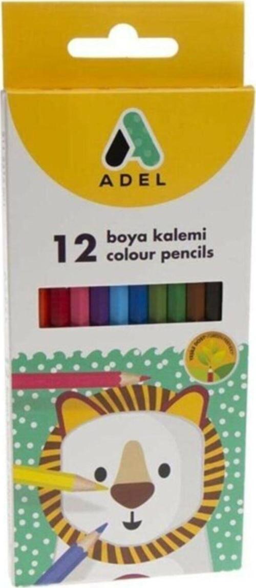 12 Renk Tam Boy Karton Kutu Kuru Boya