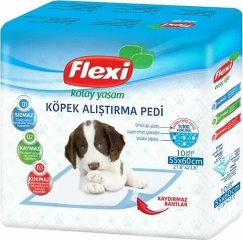 Ultra Emici Kaydırmaz Bantlı Köpek Çiş Alıştırma Pedi 55x60 Cm