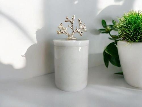 Urestone Beyaz Mermer 9X 10 Mercan Detaylı Pamukluk-Mermer Kapaklı Kutu(Gümüş Aksesuarlı)