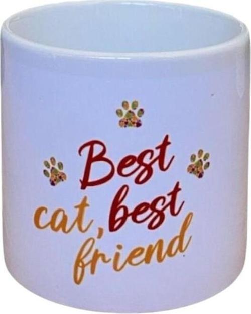 En İyi Kedi En İyi Arkadaş Tasarım Kupa Beyaz