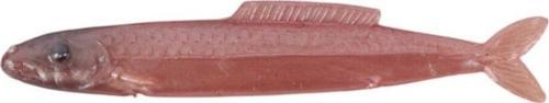 4 Cm Silikon Balık L06 5 Li Pkt