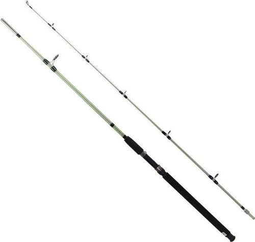 Classic 30-150gr 2,70m Kamış varyant