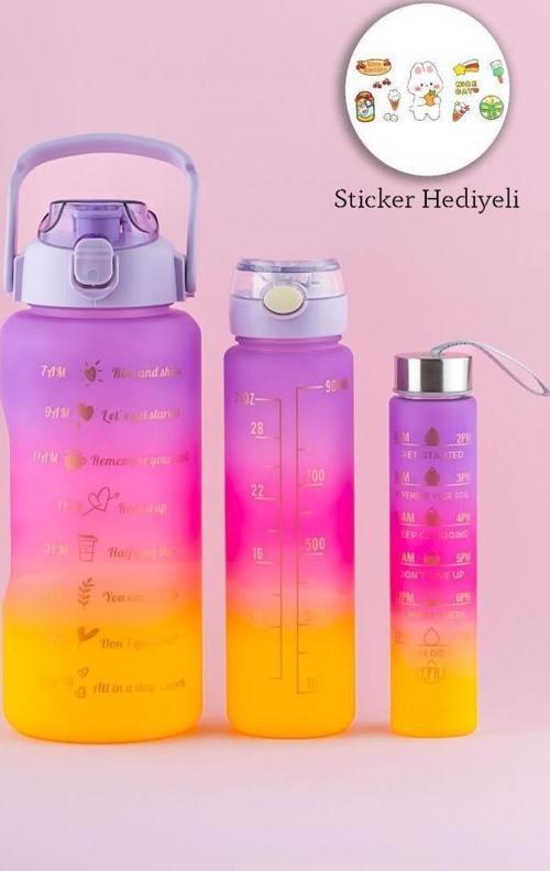 3lü Motivasyon Stickerlı Kokusuz Matara Suluk Mor Krd-6068